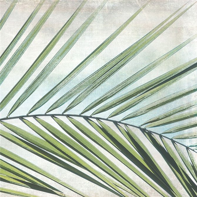Palm View II - Cuadrostock