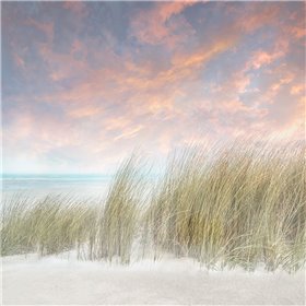 Windswept II