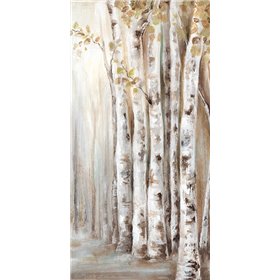 Sunset Birch Forest II  - Cuadrostock