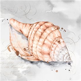 Blush Shell I  - Cuadrostock