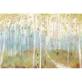 Sunny Forest  - Cuadrostock