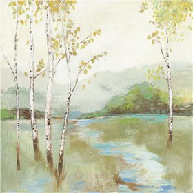 Calm River  - Cuadrostock