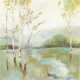 Calm River 