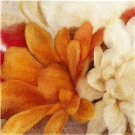 Full Bloom 1