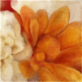 Full Bloom 2