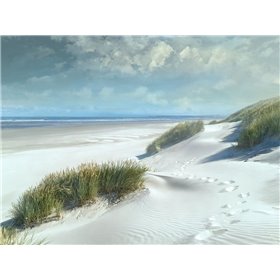 White Sands - Cuadrostock