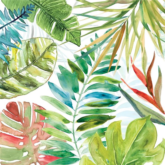 Tropical Sketchbook II - Cuadrostock