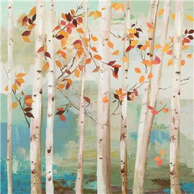 Fall Birch Trees  - Cuadrostock