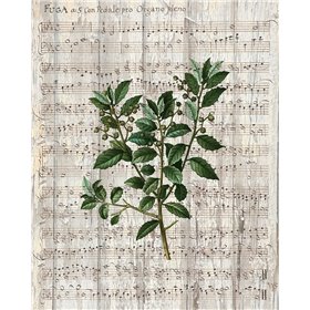 Musical Botanical 2