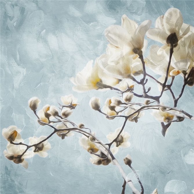 Cuadro para dormitorio - Tree Of White Flowers - Cuadrostock