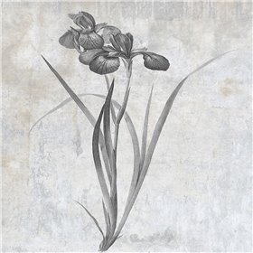 Grey Earth Balance 2