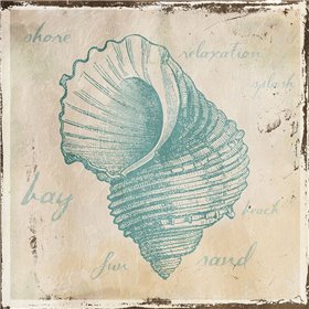  Stamped Shell Four
