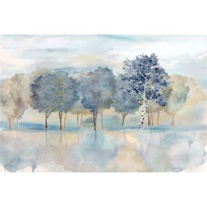 Treeline Reflection Landscape - Cuadrostock