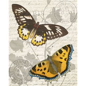 Butterfly Travel 1