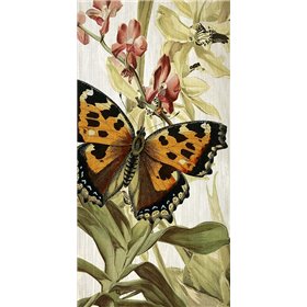 Butterfly World 2