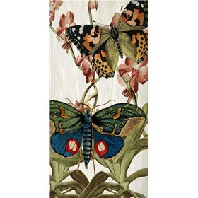 Butterfly World 3