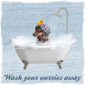 Worry Wash