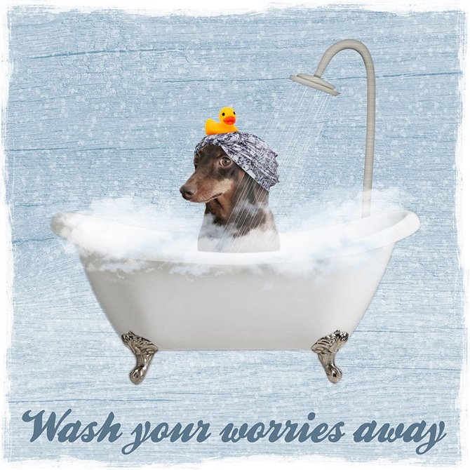 Worry Wash