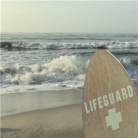 Vigilant Lifeguard - Cuadrostock