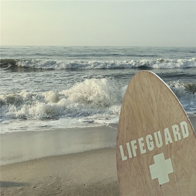 Vigilant Lifeguard