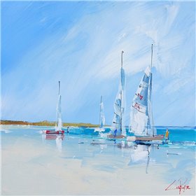 Aspendale Sails 1