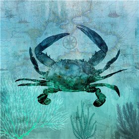 Pacific Crab