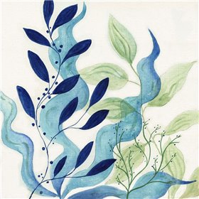 Blue Coral I