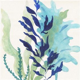 Blue Coral II