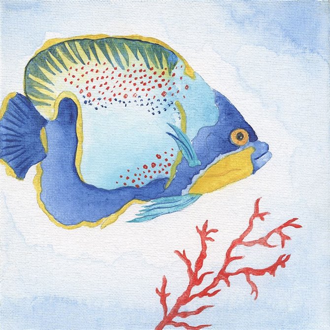 Galapagos Fish I - Cuadrostock