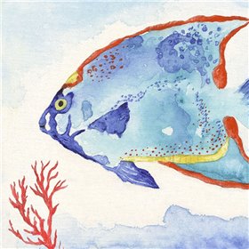 Galapagos Fish II