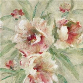 Cuadro para dormitorio - Peony Garden II - Cuadrostock