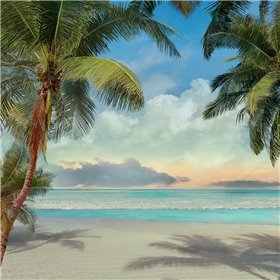 A Found Paradise I