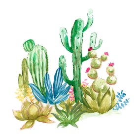 Cactus Vignette II