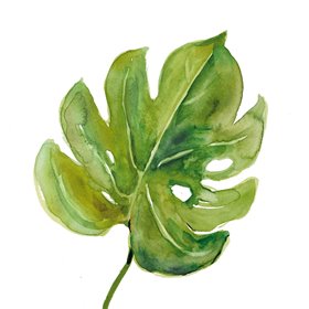 Tropical Frond I