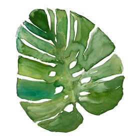 Tropical Frond III