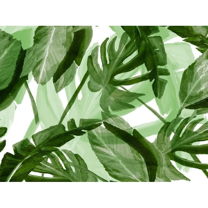 Tropic Green 3 - Cuadrostock