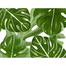 Tropic Green 4