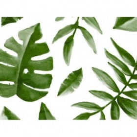 Tropic Green 1
