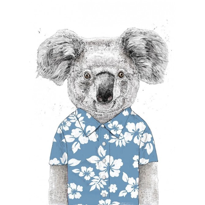 Summer Koala (Blue) - Cuadrostock