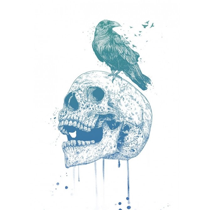 New Skull (Blue) - Cuadrostock