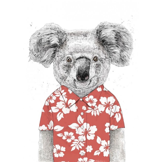 Summer Koala (Red) - Cuadrostock