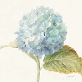 Floursack Florals V - Blue Hydrangea Crop - Cuadrostock