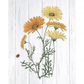 Botanical Bouquet on Wood I - Cuadrostock