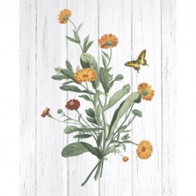 Botanical Bouquet on Wood IV - Cuadrostock