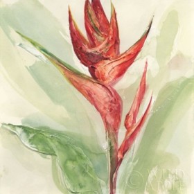 Exotic Flower IV - Cuadrostock