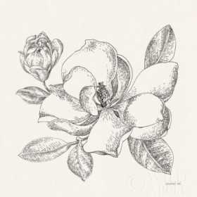 Flower Sketches II