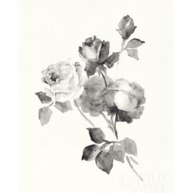 Rose Blossoms Gray