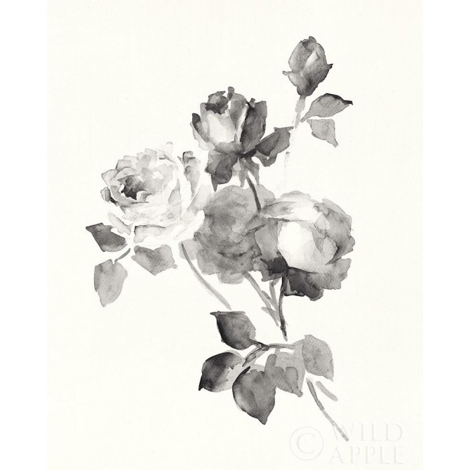 Rose Blossoms Gray - Cuadrostock