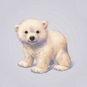 Polar Bear - Cuadrostock