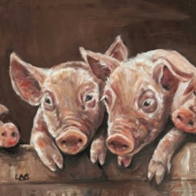 Oink!